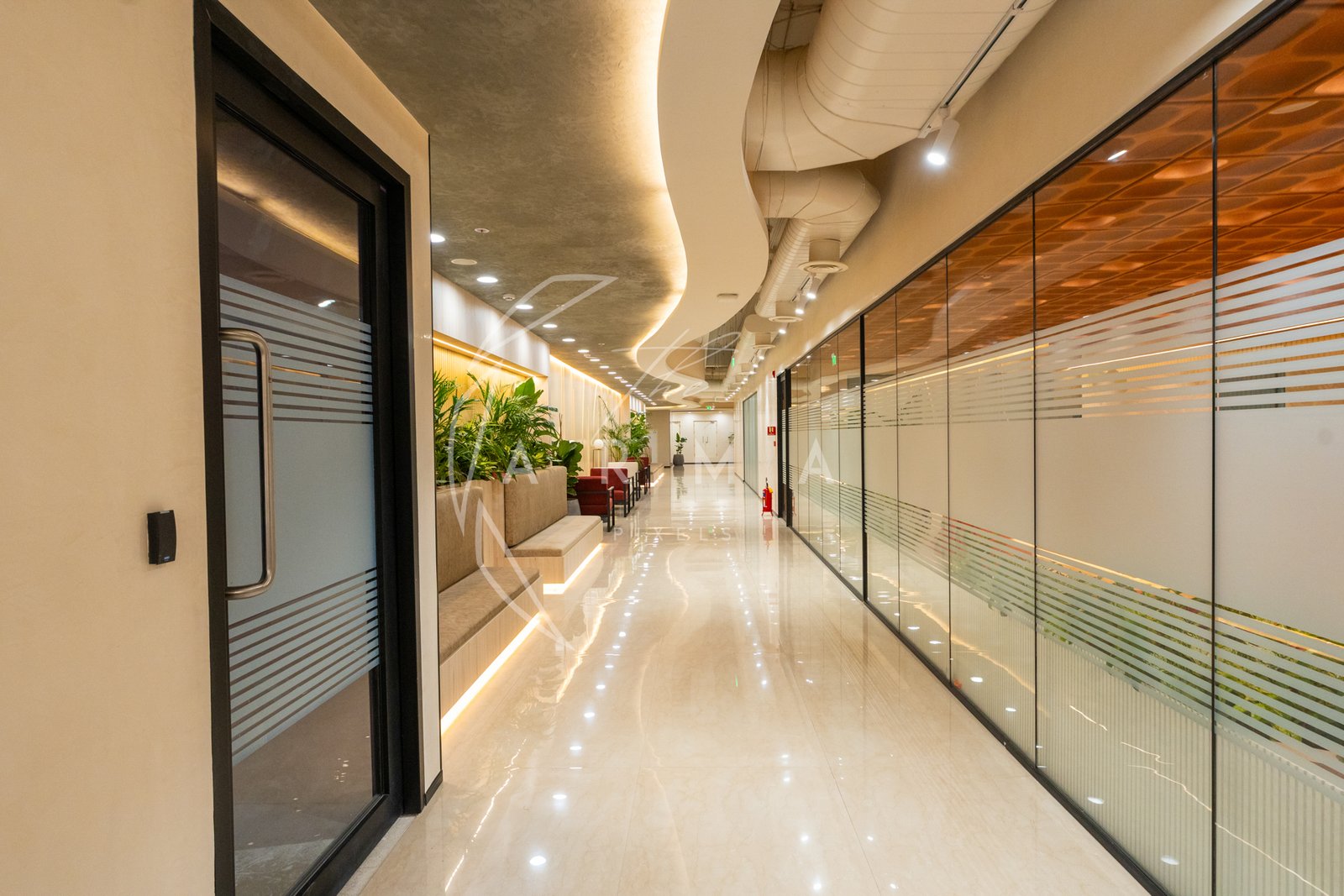 Real Estate - _DSC3247